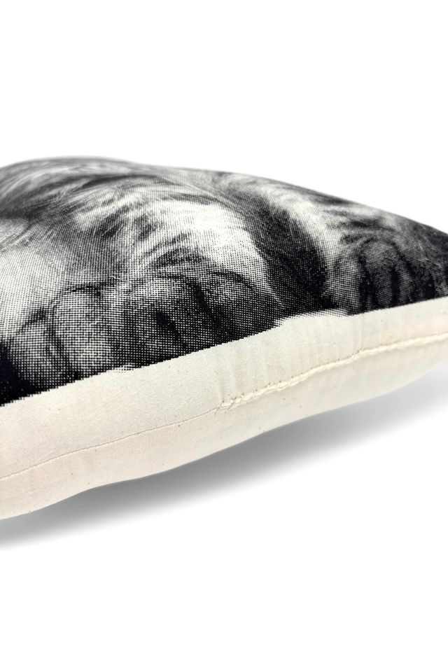 Broderpress Longhair Cat Pillow #4