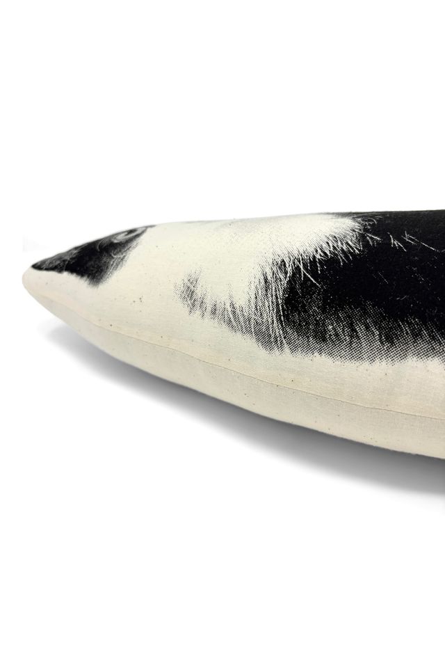 Broderpress Black and White Kitten Pillow #2