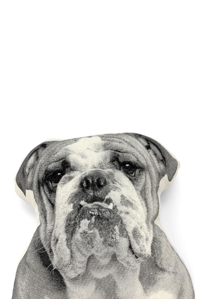 Broderpress Bulldog Pillow #2
