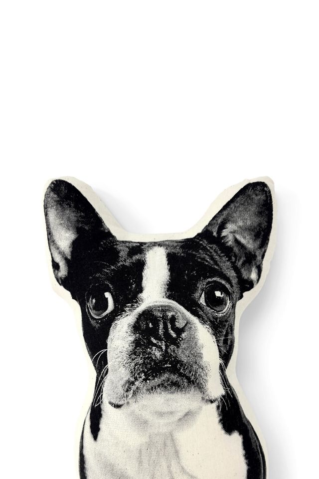 Broderpress Boston Terrier Pillow #2