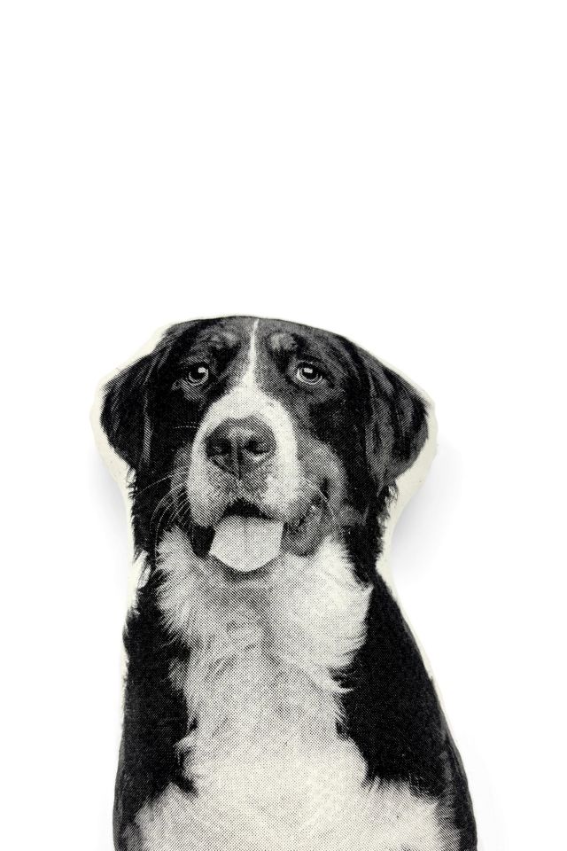 Broderpress Bernese Mountain Dog Pillow #2