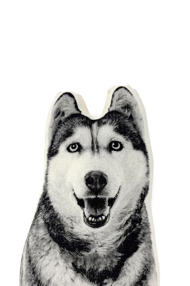 Broderpress Siberian Husky Pillow #2
