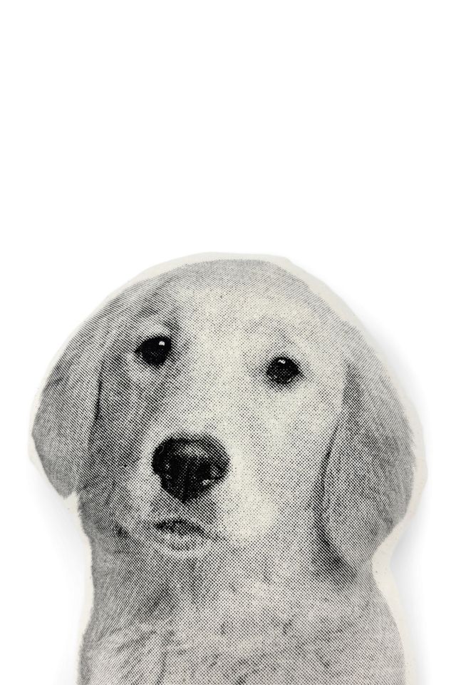 Broderpress Golden Retriever Pillow #2