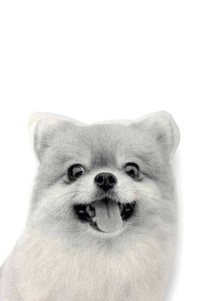 Broderpress Pomeranian Pillow #2