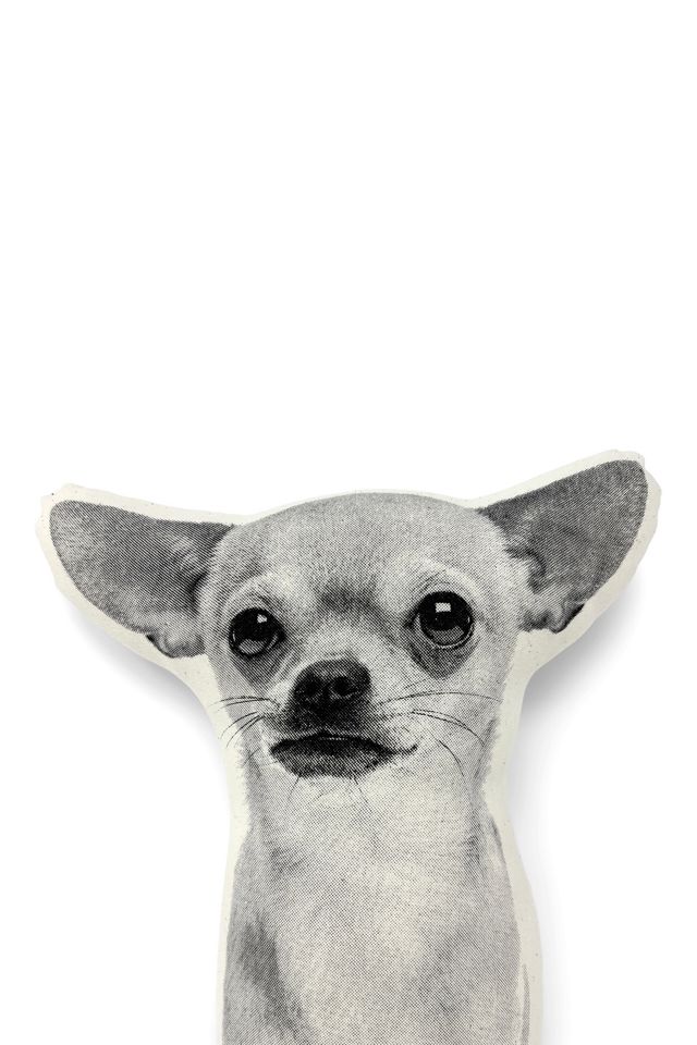 Broderpress Chihuahua Pillow #2