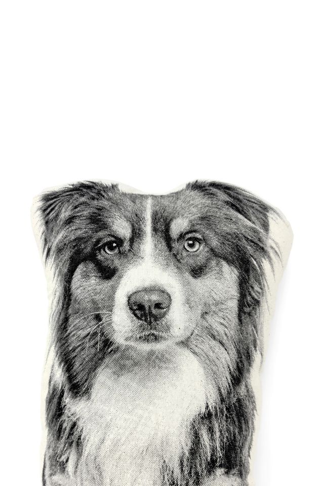 Broderpress Australian Shepherd Pillow #2