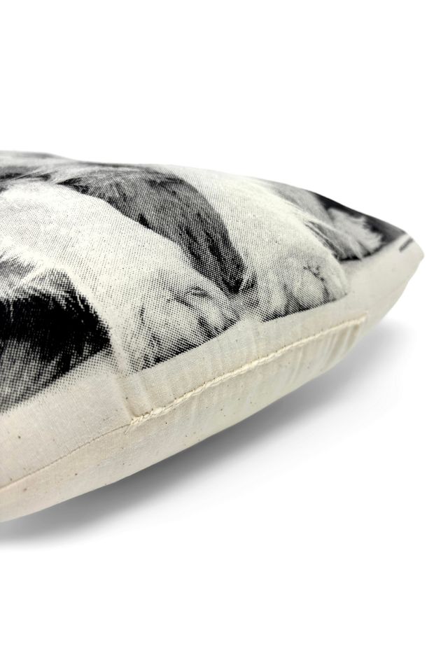 Broderpress Australian Shepherd Pillow #3