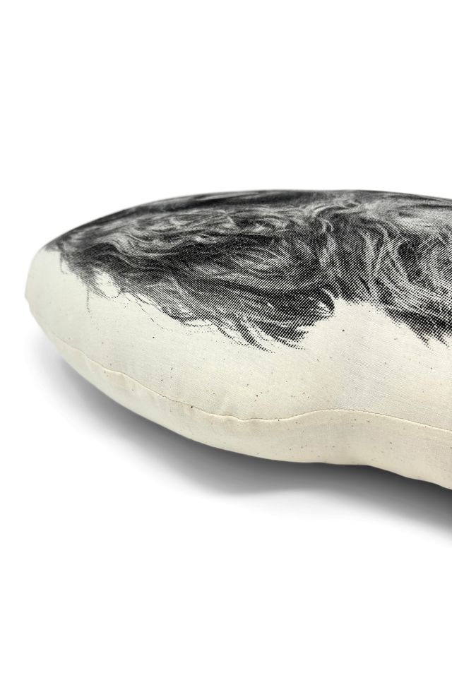 Broderpress Cavalier King Charles Pillow #1
