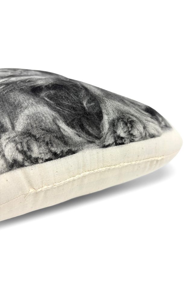 Broderpress Cavalier King Charles Pillow #3
