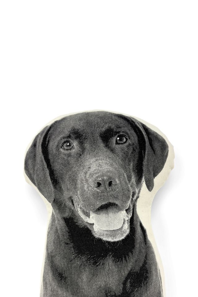 Broderpress Labrador Retriever Pillow #2