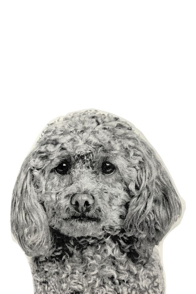 Broderpress Poodle Pillow #2