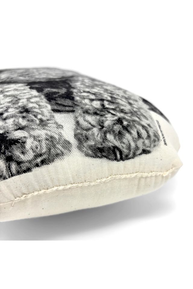 Broderpress Poodle Pillow #3