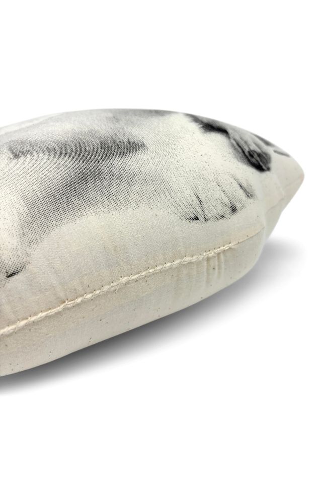 Broderpress Corgi Pillow #3