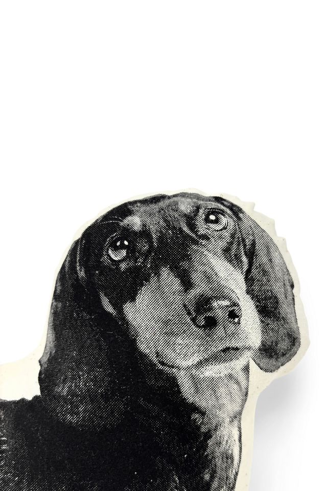 Broderpress Dachshund Pillow #2