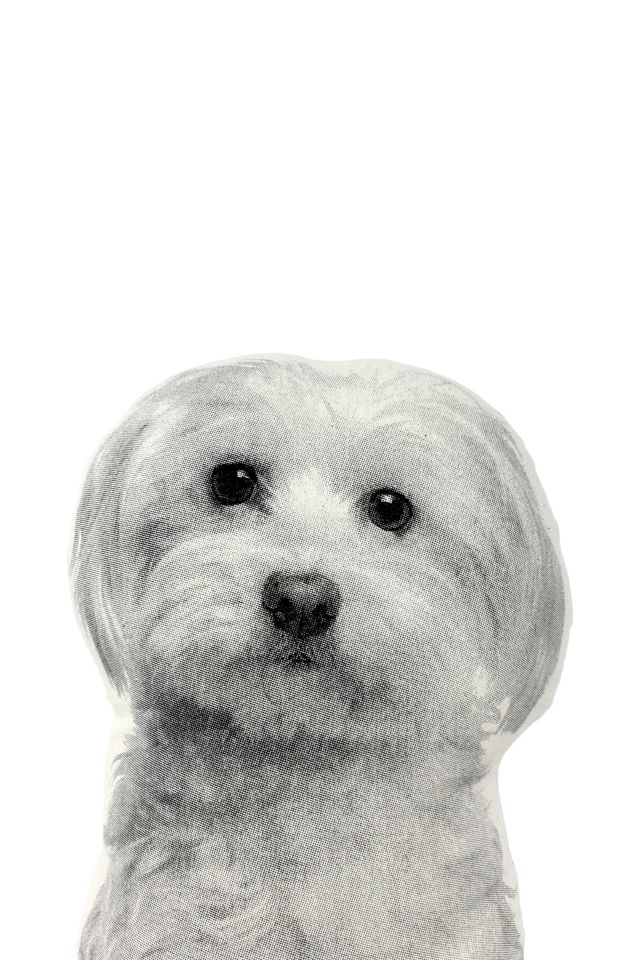 Broderpress Maltese Pillow #2