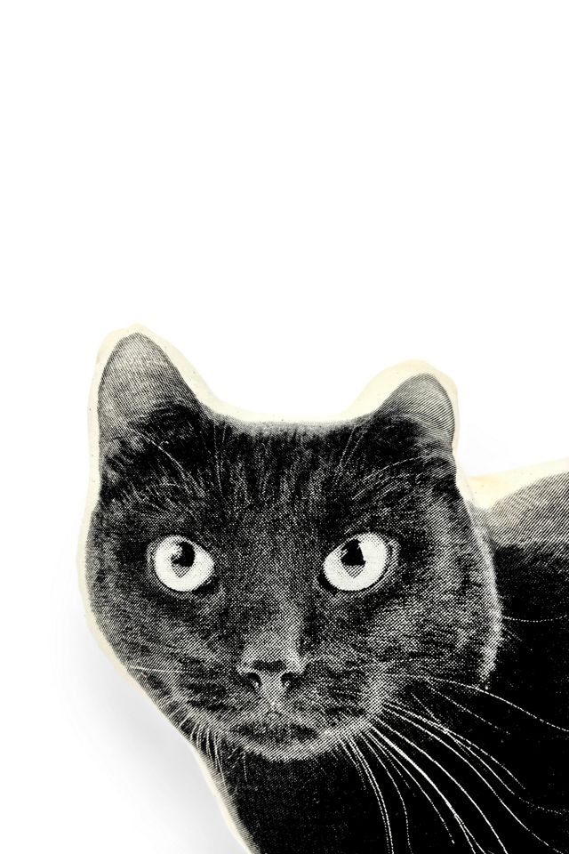 Broderpress Black Cat Pillow #3