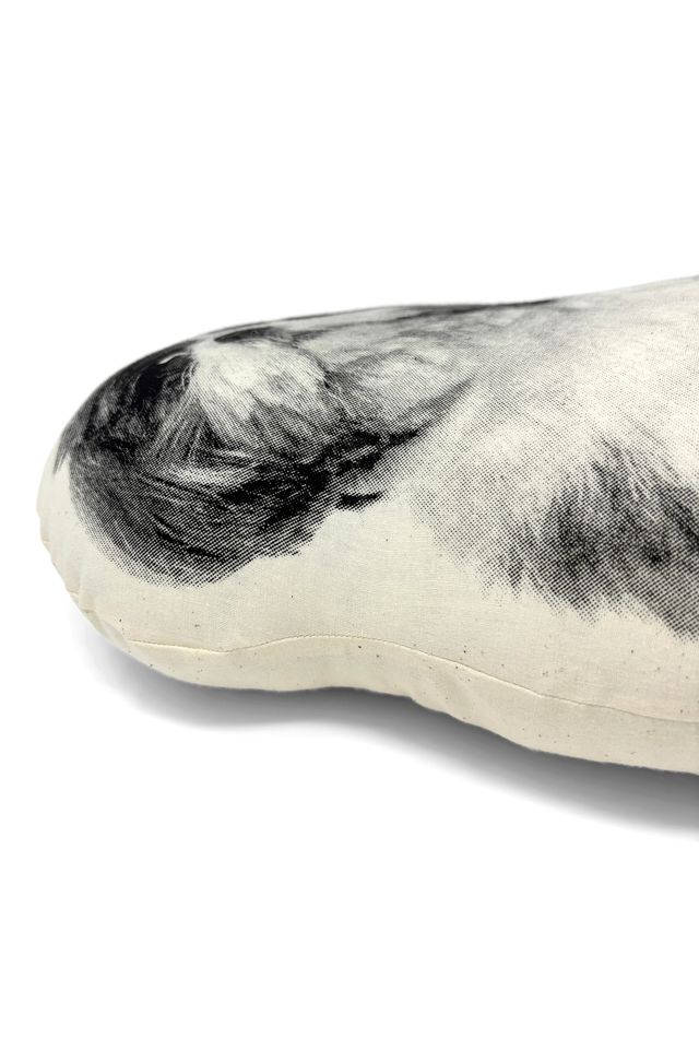 Broderpress Shih Tzu Pillow #1