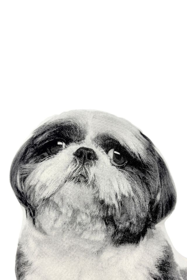 Broderpress Shih Tzu Pillow #2