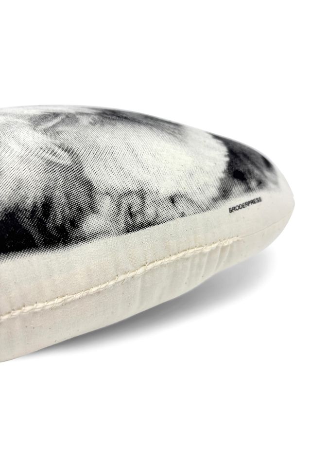 Broderpress Shih Tzu Pillow #3
