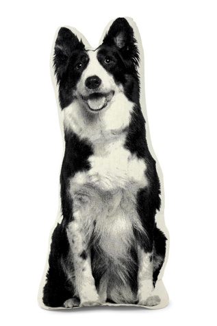 Broderpress Border Collie Pillow