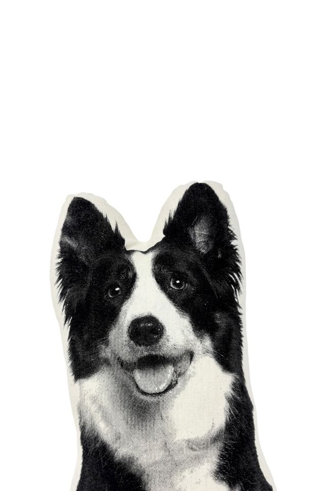 Broderpress Border Collie Pillow #2