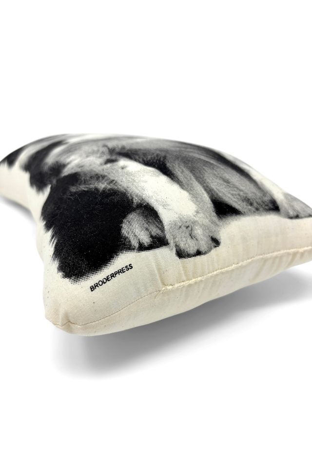 Broderpress Border Collie Pillow #3