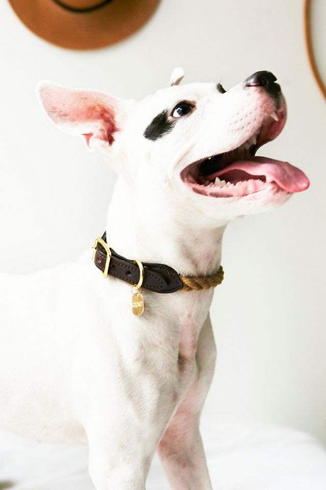 Signature Rope Collar #1