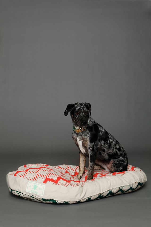 Dual Pattern Canvas Bed