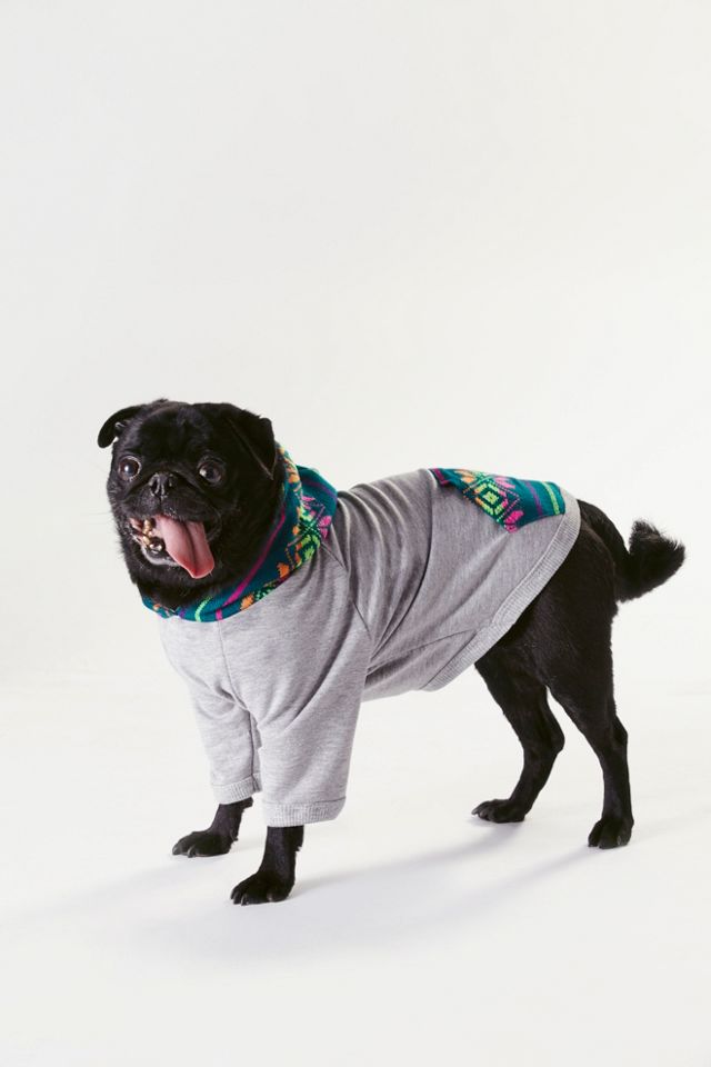 Spirit Dog Hoodie #1