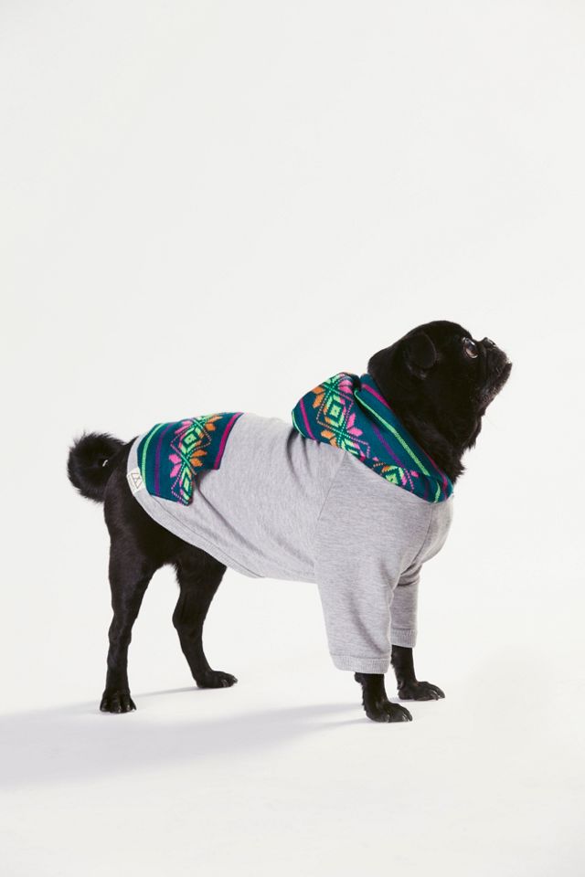 Spirit Dog Hoodie #3