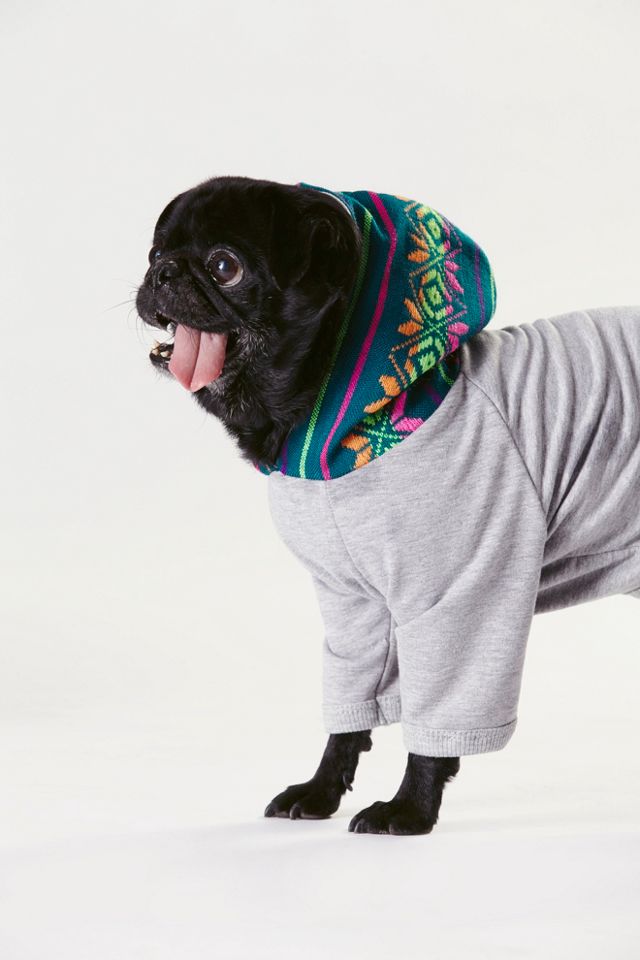 Spirit Dog Hoodie #4