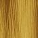 Golden Palm