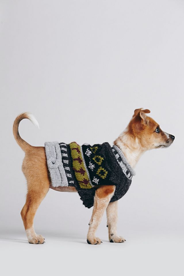 Shetland Dog Sweater #1