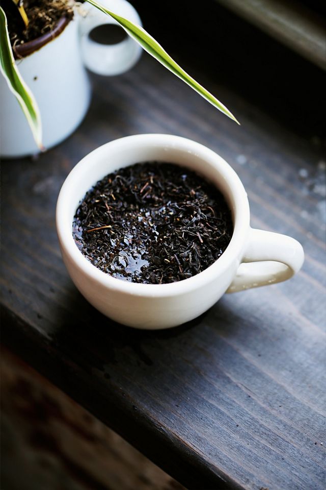 Tea Leaf Reading Kit #2