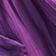 Phlox