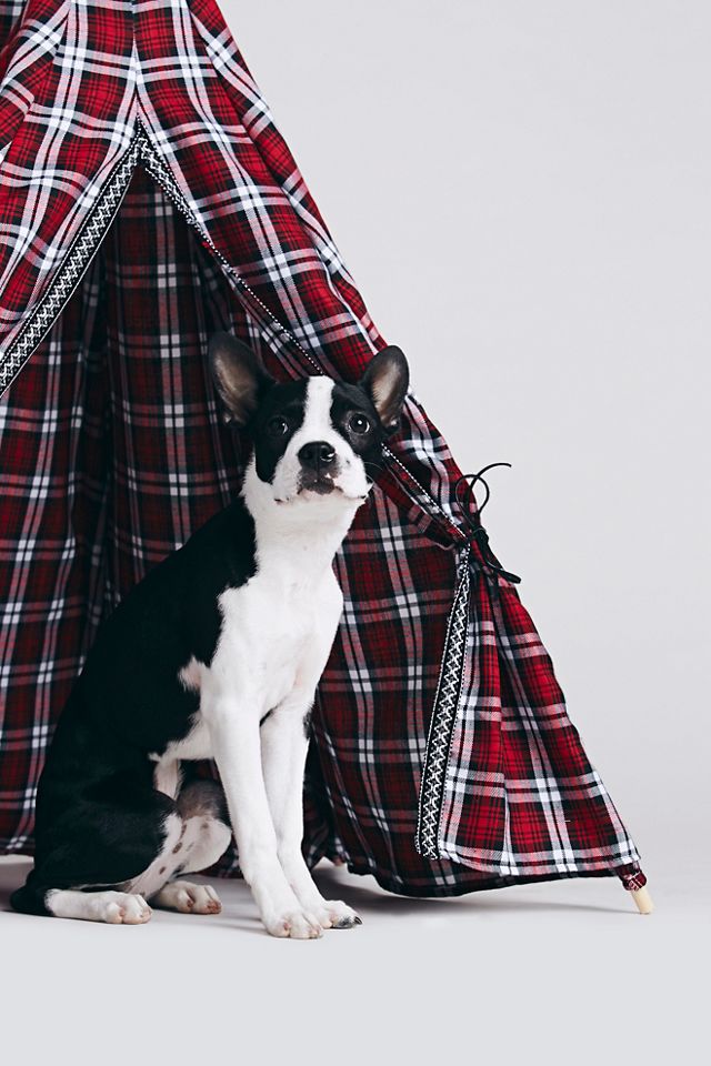 Fireside Plaid Tipi #5