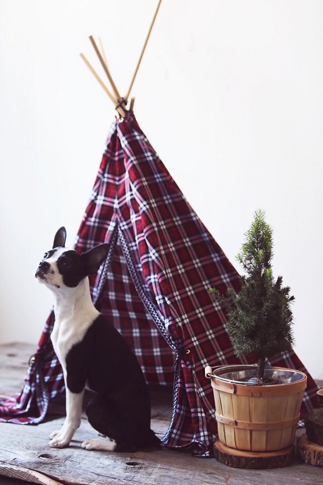 Fireside Plaid Tipi #6