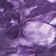 Washed Plum