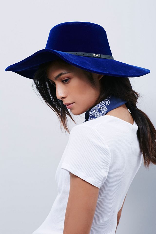 Velvet Wide Brim Hat