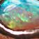 Rose gold / opal