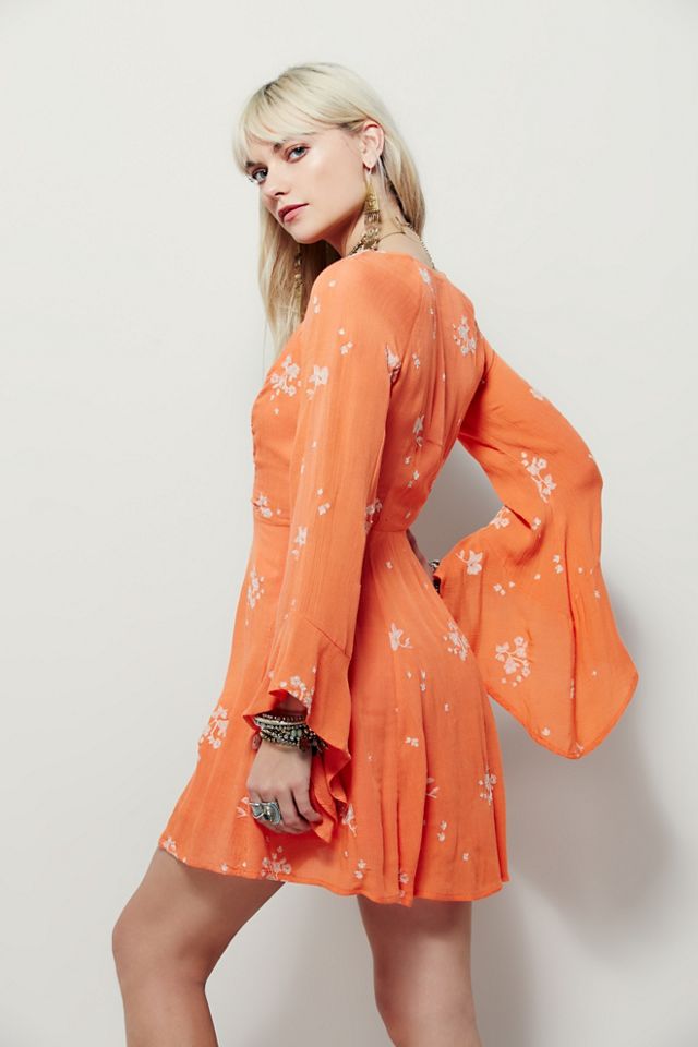 Jasmine Embroidered Dress #1