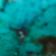Natural / turquoise