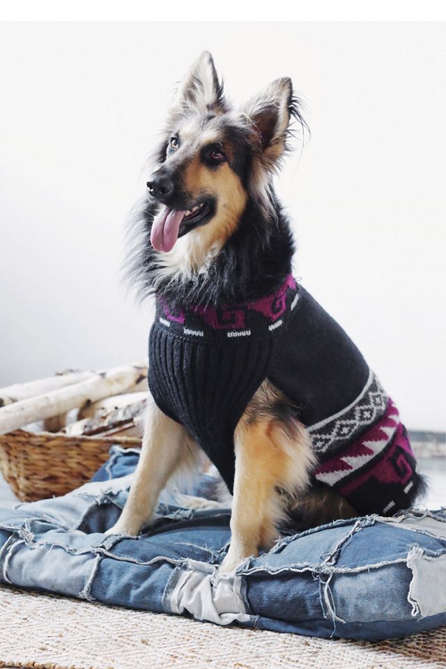 Fairisle Dog Sweater