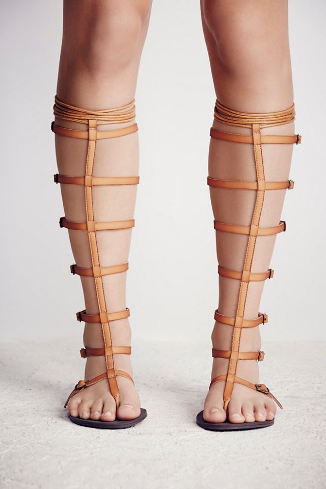 Vegan Jayden Gladiator #2