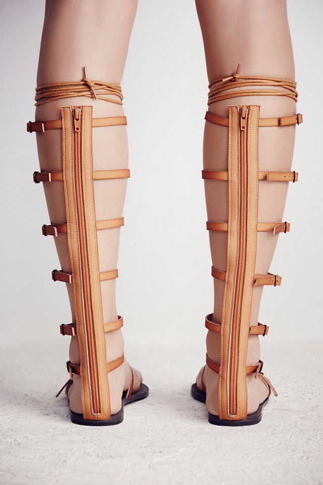 Vegan Jayden Gladiator #3