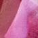 Tinted Rose