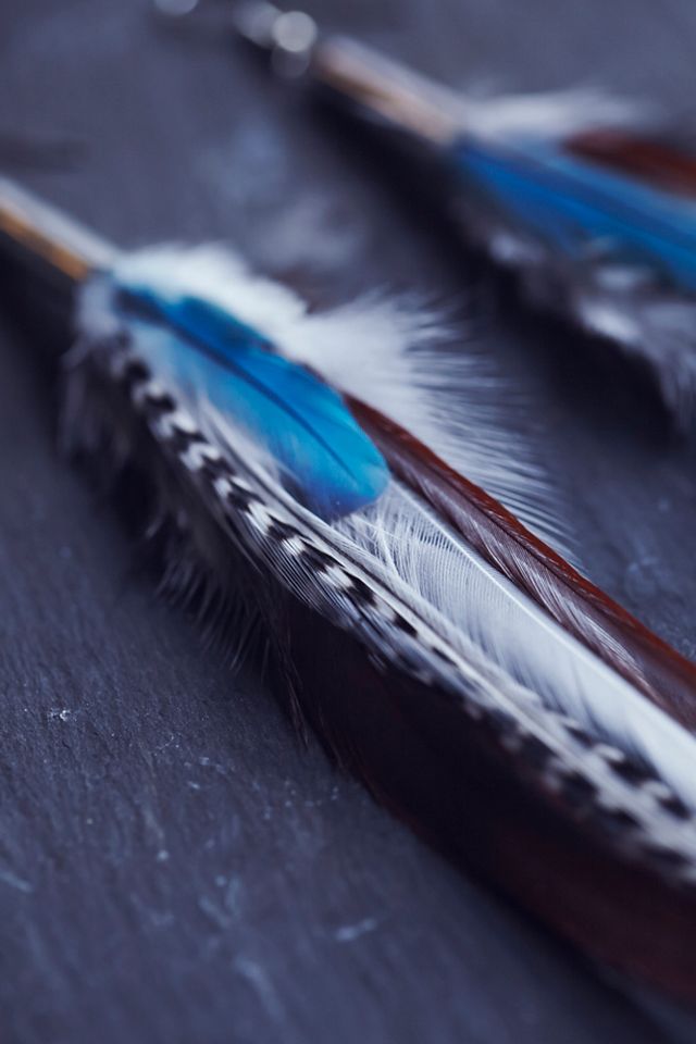 Catalina Feather Dusters #3