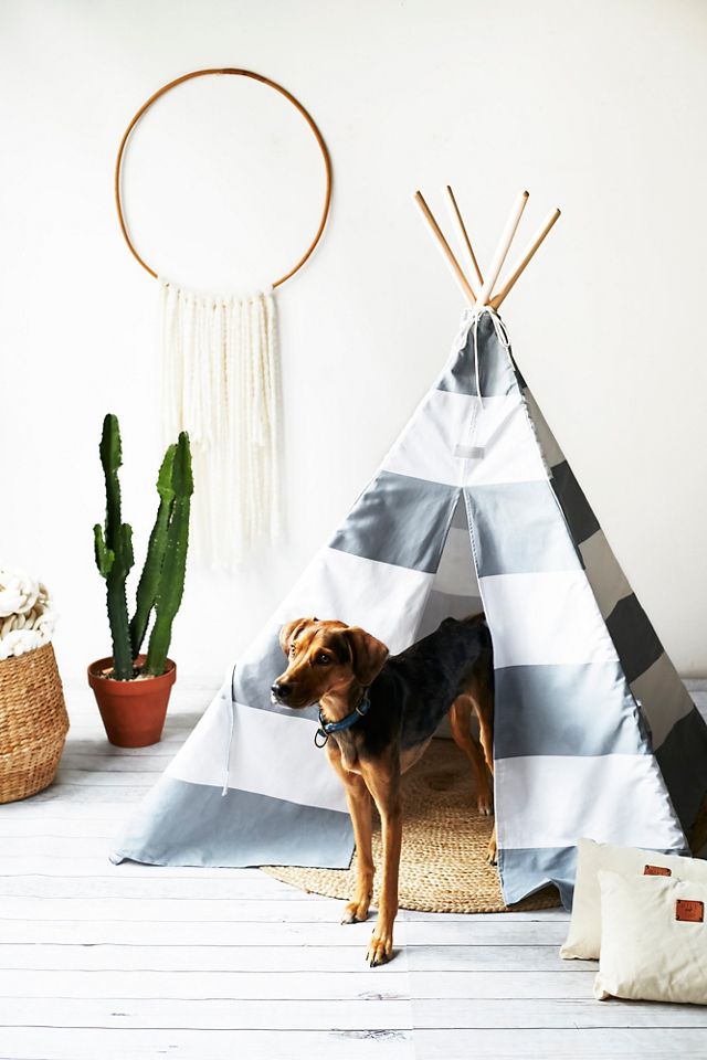 Big Dog Teepee