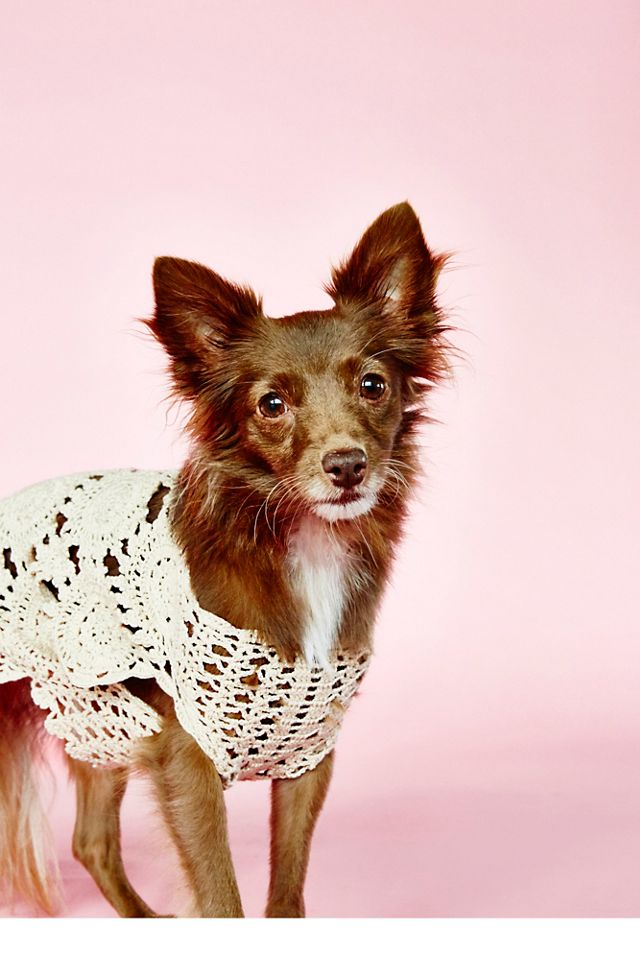 Doggy Daydream Crochet Sweater #3