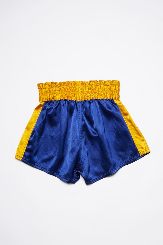 Vintage 2025 boxing shorts